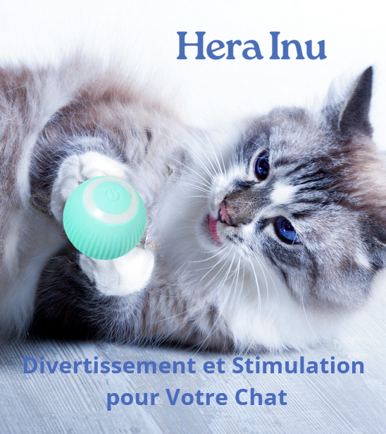 Jouet intelligent pour chat