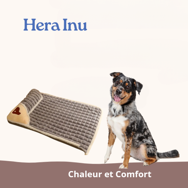 Tapis d'hiver chaud pour chien